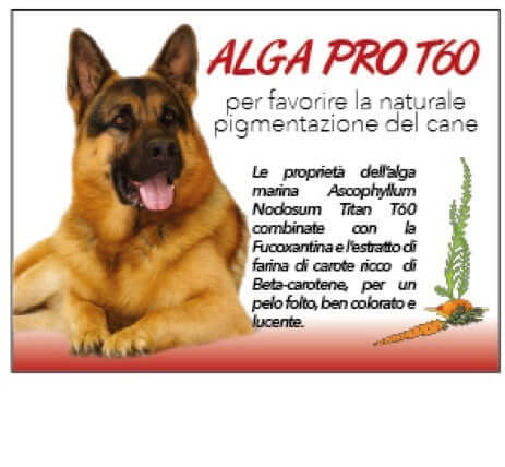 Immagine prodotto 3